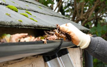 gutter cleaning Fordham