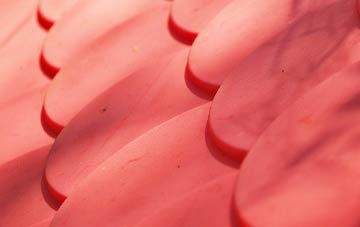 Fordham plastic roof costs